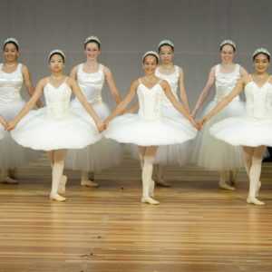 Salinas School of Dance header banner